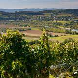Изображение: Okiem Ekoodkrywcy - Kraina winem i miodem płynąca Wycieczka w Pogórze Ciężkowickie