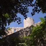 Okrągła wysoka wieża oraz mury zamku w rezerwacie Lipowiec wyłaniające się zza liści drzew.