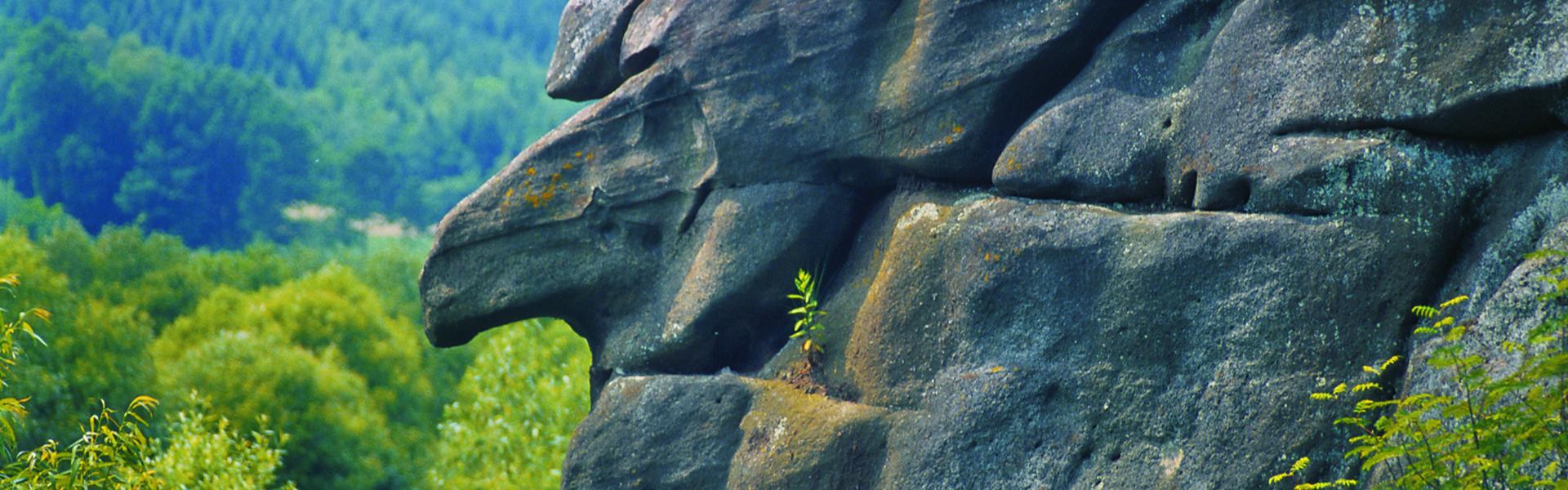 Face-shaped rock in profile.