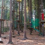 Park linowy w lesie w Krynicy-Zdrój. Widać różne przeszkody.