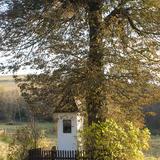 Niewielka murowana kapliczka otoczona niskim płotem. Stoi przy drzewie w jesiennych kolorach.