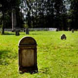 Immagine: Il cimitero ebraico a Nowy Sącz