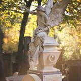 Kamienna rzeźba anioła na nagrobku. W tle korona drzewa prze którą prześwitują promienie słoneczne.