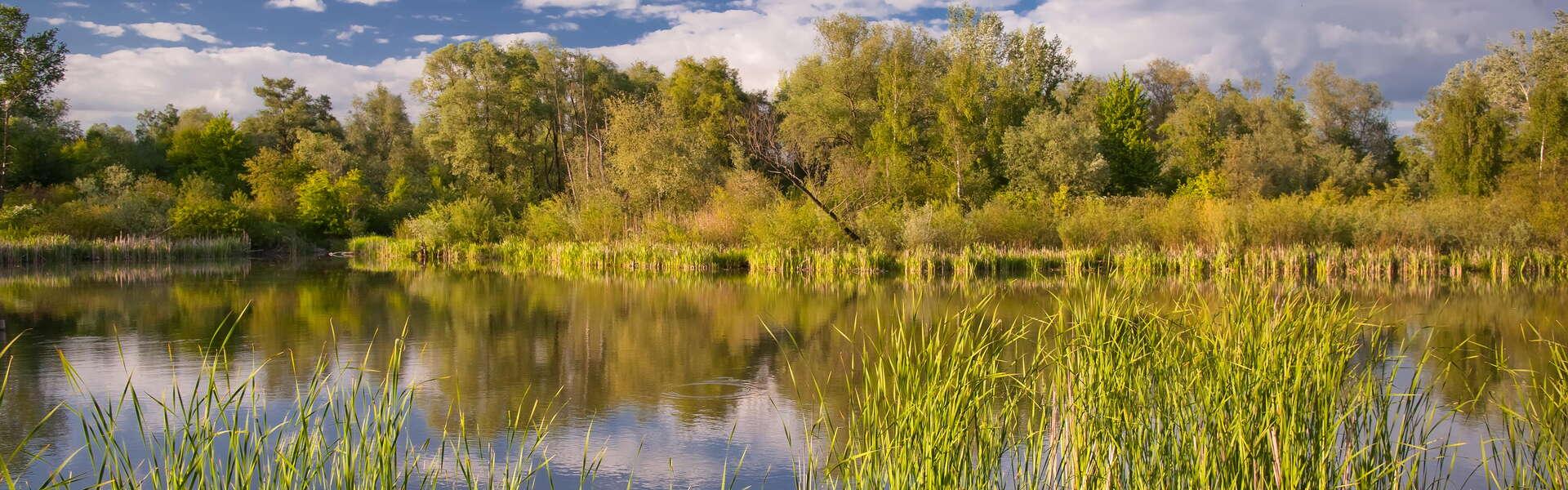 The Bobrowisko Nature Enclave surrounded by greenery, with blue skies and clouds above.