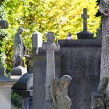 Image: L'ancien cimetière – Tarnów