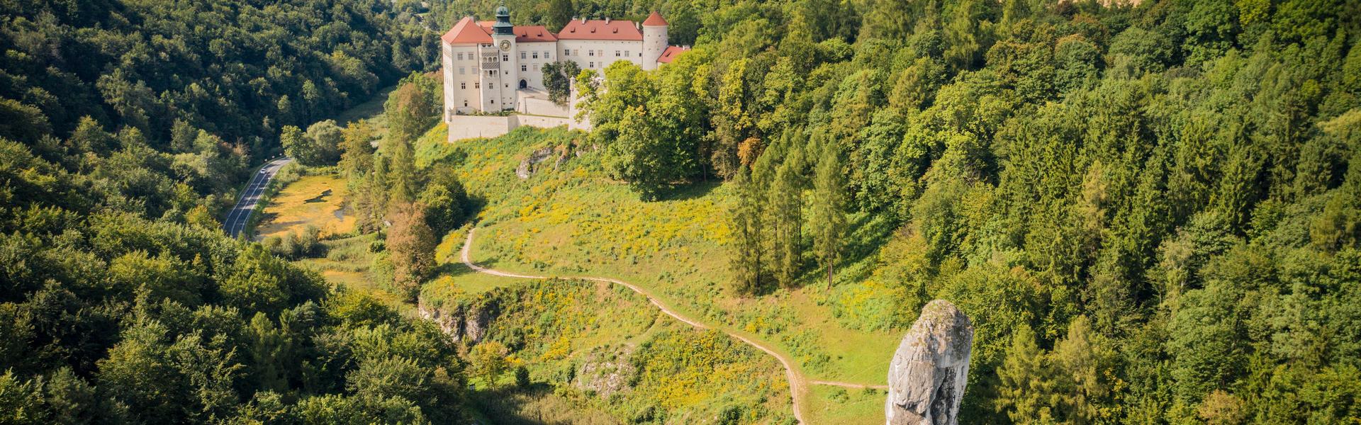 Das Schloss von Pieskowa Skała, vom Wald umgeben. Felder in der Ferne.