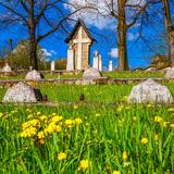 Imagen: Cementerio militar nº 138 Bogoniowice