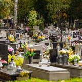 Ogromna ilość ustawionych koło siebie nagrobków i wysokich krzyży na cmentarzu na Pasterniku. Na wielu z nich stoją kwiaty i znicze. Z tyłu pomiędzy grobami rosną wysokie drzewa,