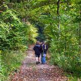 Mężczyzna i kobieta z plecakami idący ścieżką przez Las Bronaczowa. Na ścieżce leżą suche liście. Po jednej jak i drugiej stronie ścieżki jest wiele drzew oraz mniejszych krzewów.