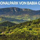 Image: Babiogórski Park Narodowy niemiecki